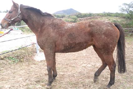 ��ſ�̼� ����