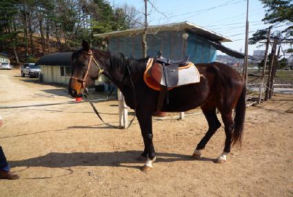 ���׷뵥�� ����