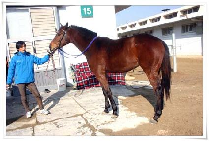 ��â���� ����