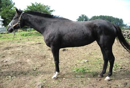 �츮���� ����