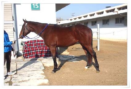 ��ǳ����� ����