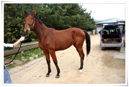 ��ť�� ����