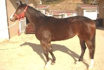 �ܿ�� (GYEOULBI) ����