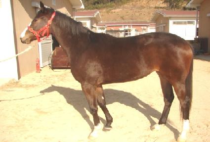 �ܿ�� ����