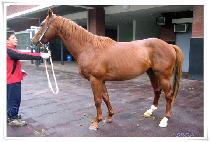 ��ȣ���� (GANGHO MAEUL) ����