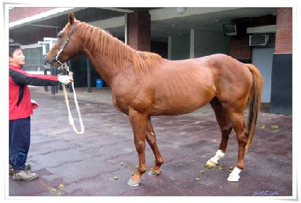 ��ȣ���� ����