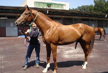 ���̿ɻ��̵� ����