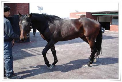 ũ���è�� ����