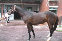 ������� (WI SE DEUNG DEUNG) ����