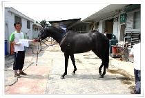 �����κ���Ʈ (I INVEST) ����