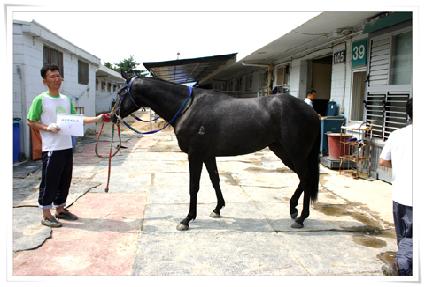 �����κ���Ʈ ����