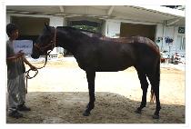 �����ý� (HIGH TAXI) ����