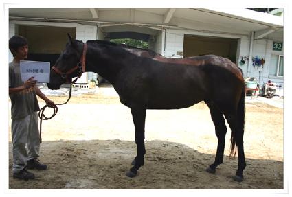 �����ý� ����