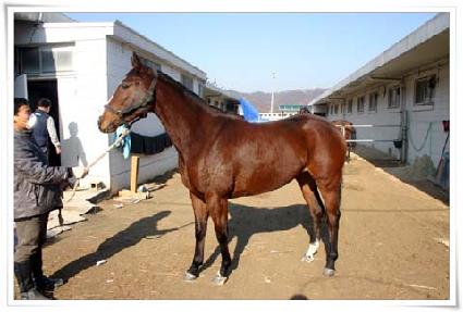 �𰡺� ����