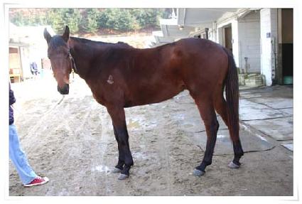 �����ǳ뷡 ����