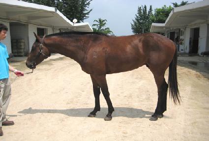 �۾Ϻ��� ����