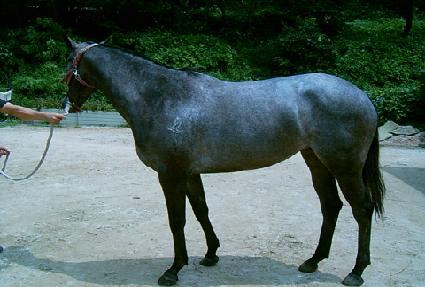 �ƶ��ȹ��� ����