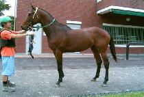 ���߼� (SICHUSEON) ����