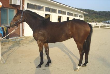 �������� ����