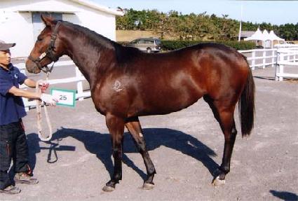 ����� ����