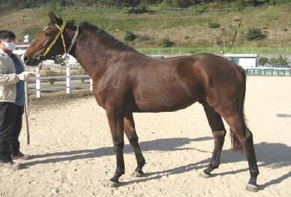 ũ���������� ����