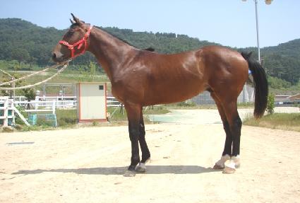 �йи� ����