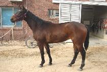 ���¾��� (NANEUN AI) ����