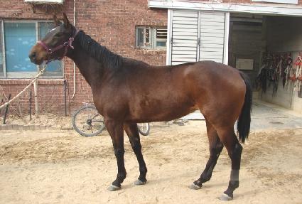 ���¾��� ����