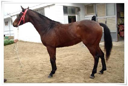 ���̵���ũ ����