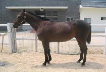 ��õ�Ǻ� (GWACHEONUIBIT) ����