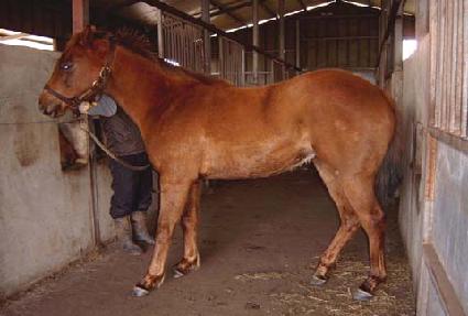 ��ٺ��� ����