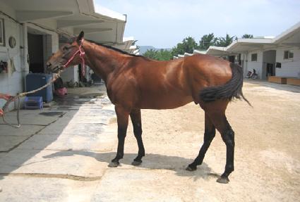 ����� ����