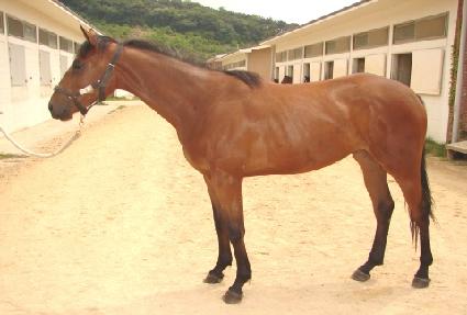 ���Ǹ� ����