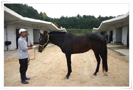 Ÿ�̰Ż轺 ����