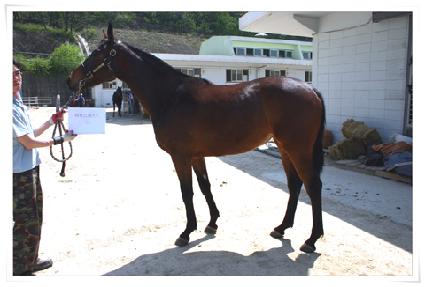 ���˵��۽�Ʈ ����