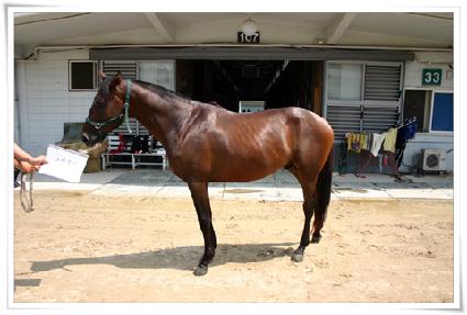 ������� ����