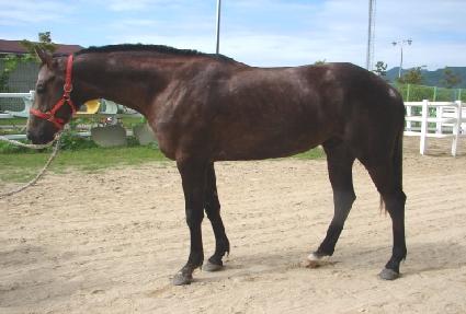 ��ǳ�뵵 ����