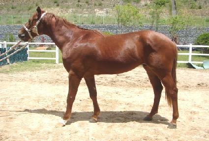 ������ ����