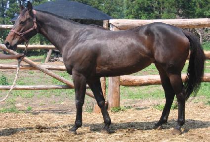 ���������� ����