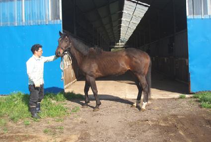 ���ƾ� ����