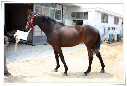 �α⸶�� ����