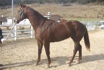 õ������ (CHEONMAN DOLPA) ����