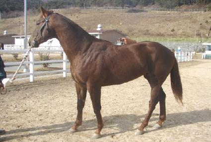 õ������ ����