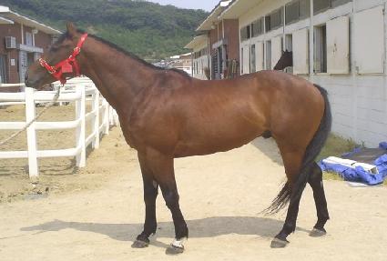 �������� ����