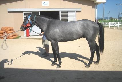 �ܵ����� ����