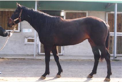 ����Ʈ ����