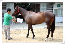 �������ڶ� (GAMUNUIJARANG) ����