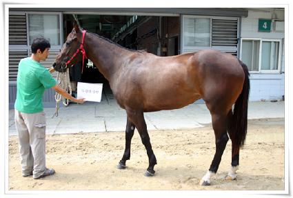 �������ڶ� ����