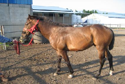 õ��ȣ ����