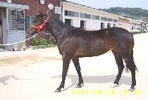 ��ƼǮ������ (BEAUTIFUL TODAY) ����